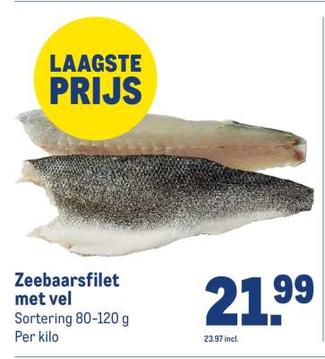 Zeebaarsfilet met vel