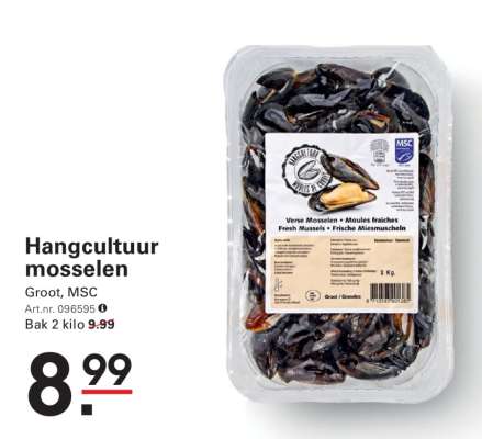Hangcultuur mosselen