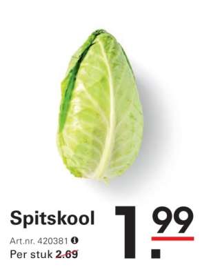 Spitskool