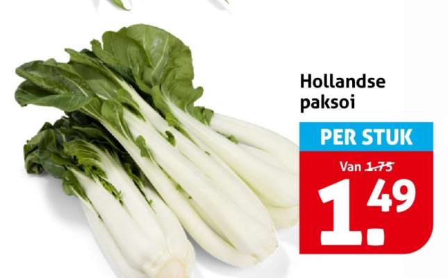 Hollandse paksoi