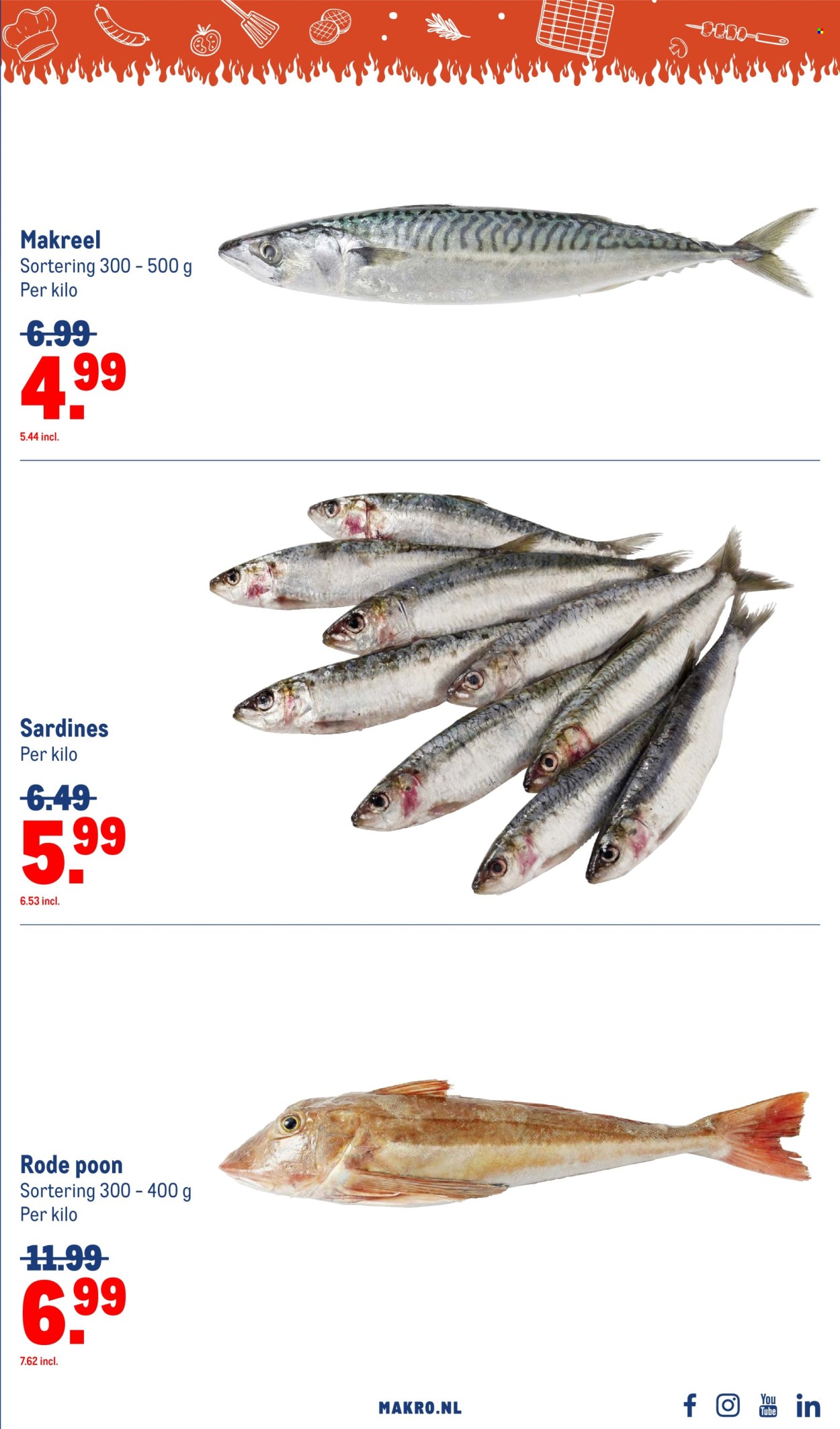 Makro-aanbieding - 7.5.2025 - 3.6.2025.