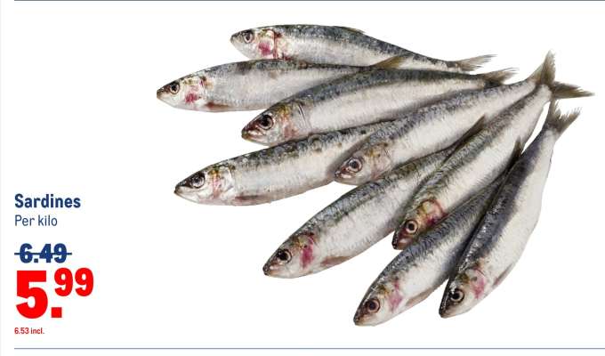 Sardines
