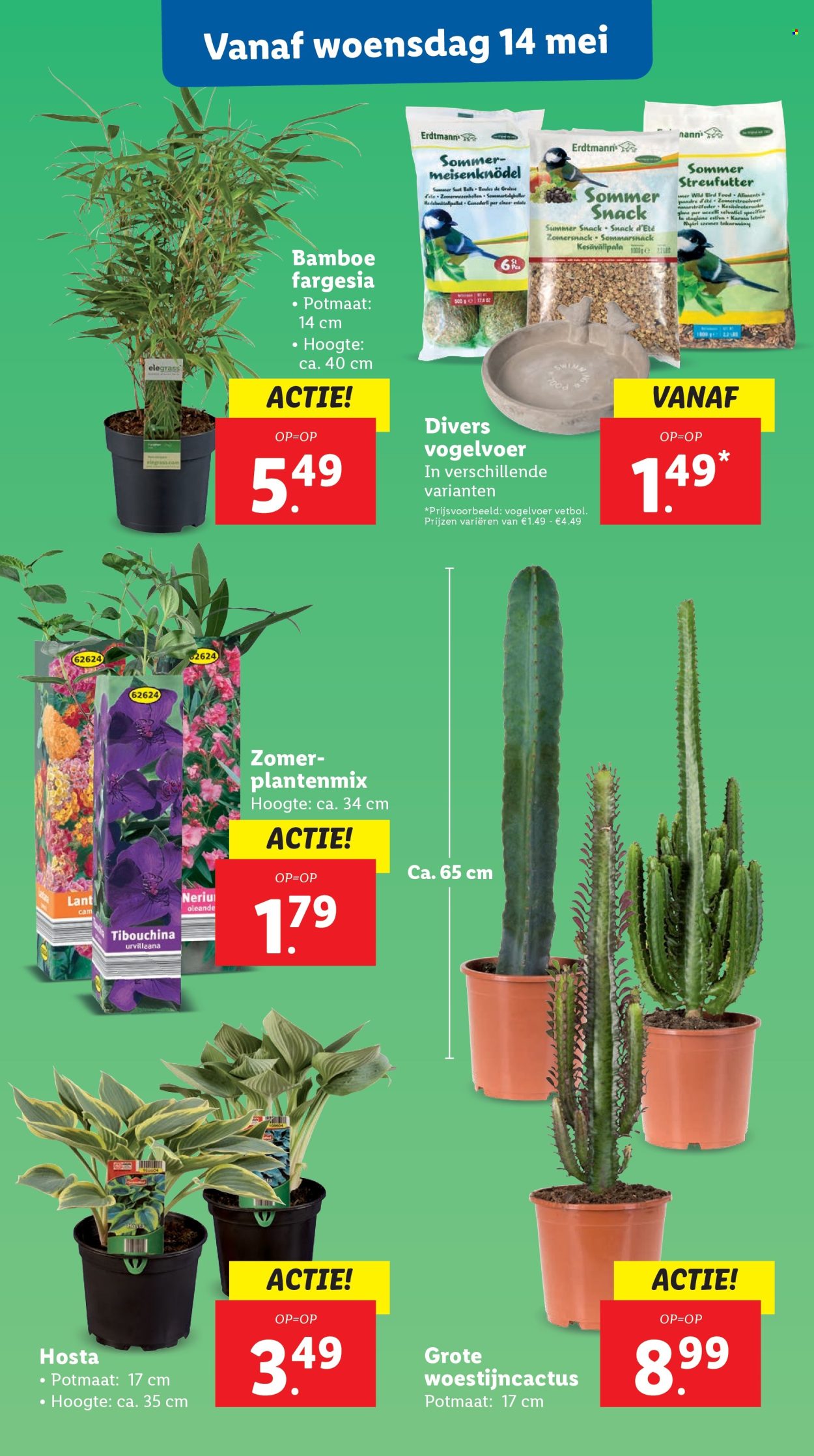 Lidl-aanbieding - 12.5.2025 - 18.5.2025.