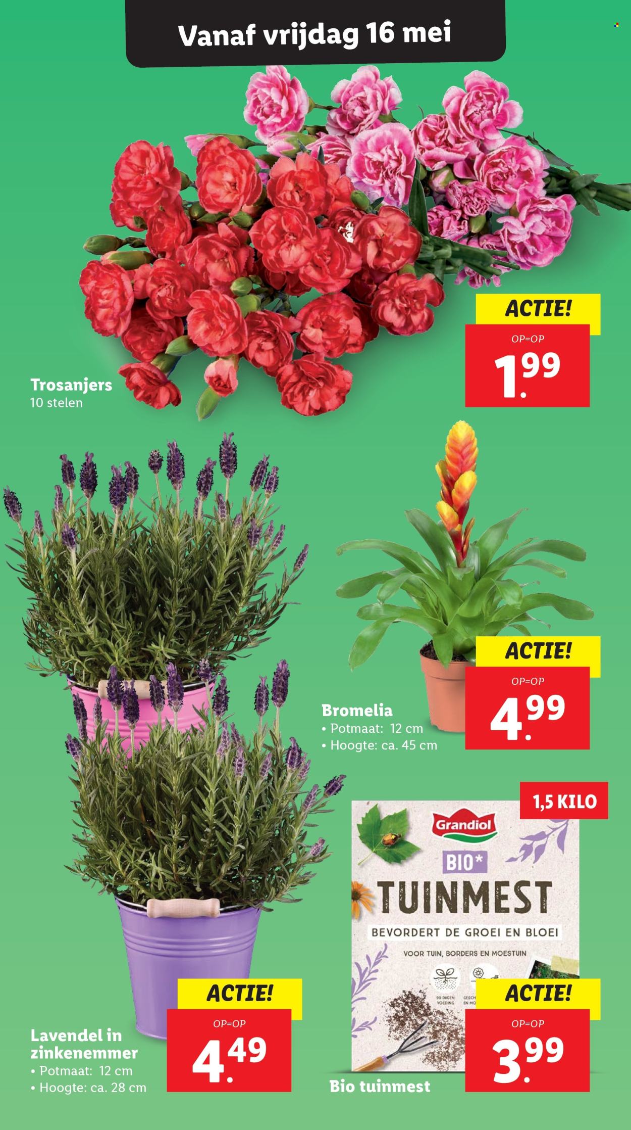 Lidl-aanbieding - 12.5.2025 - 18.5.2025.