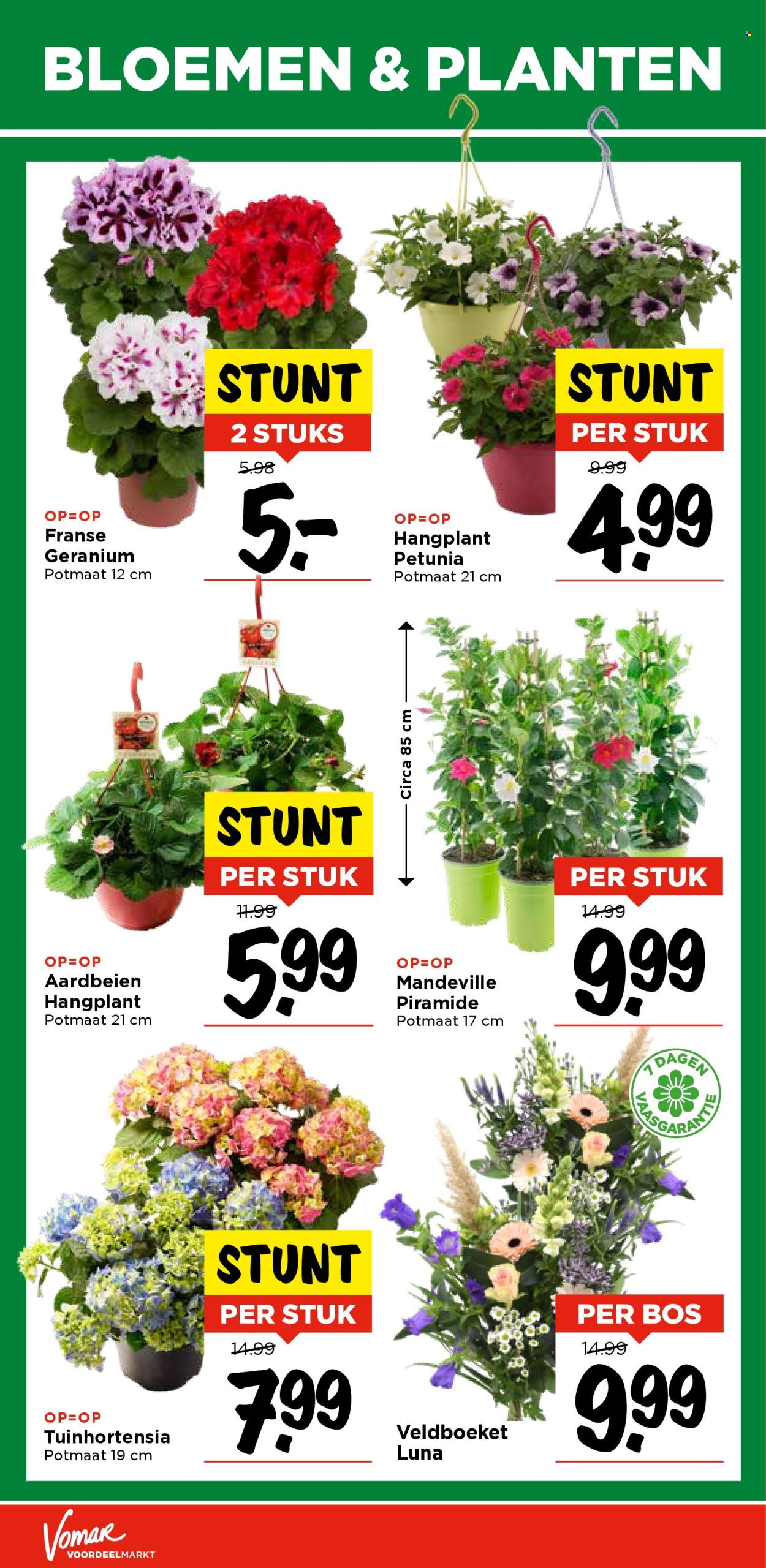 Vomar-aanbieding - 11.5.2025 - 17.5.2025.