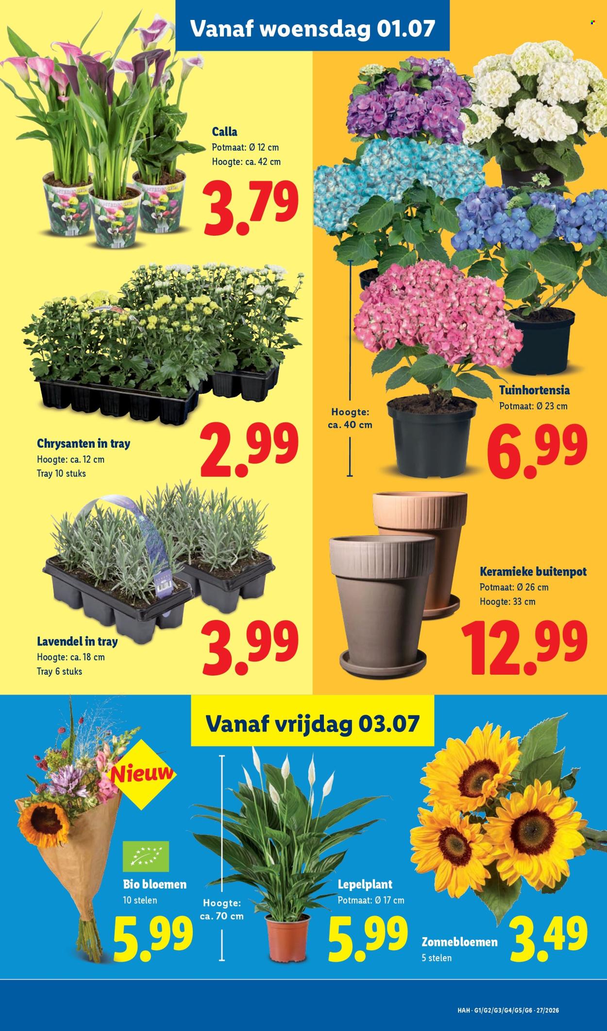 Lidl-aanbieding - 29.6.2026 - 5.7.2026. Pagina 23