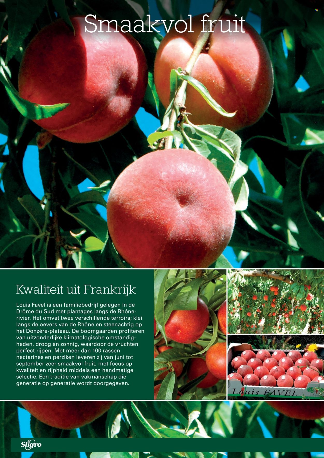 Sligro-aanbieding - 2.7.2026 - 20.7.2026. Pagina 42