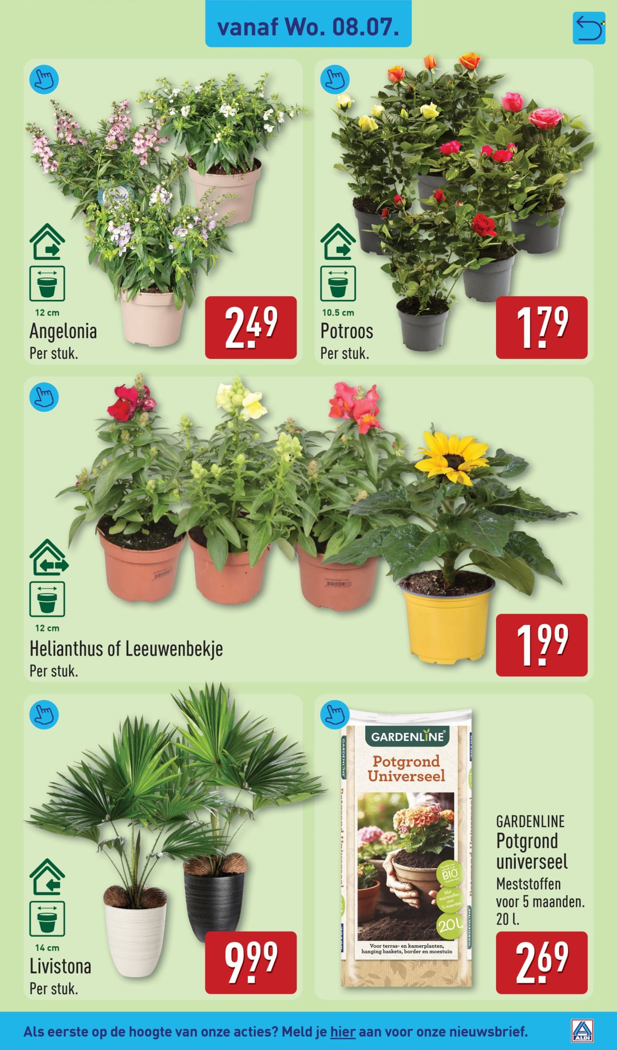 Aldi-aanbieding - 6.7.2026 - 12.7.2026. Pagina 37
