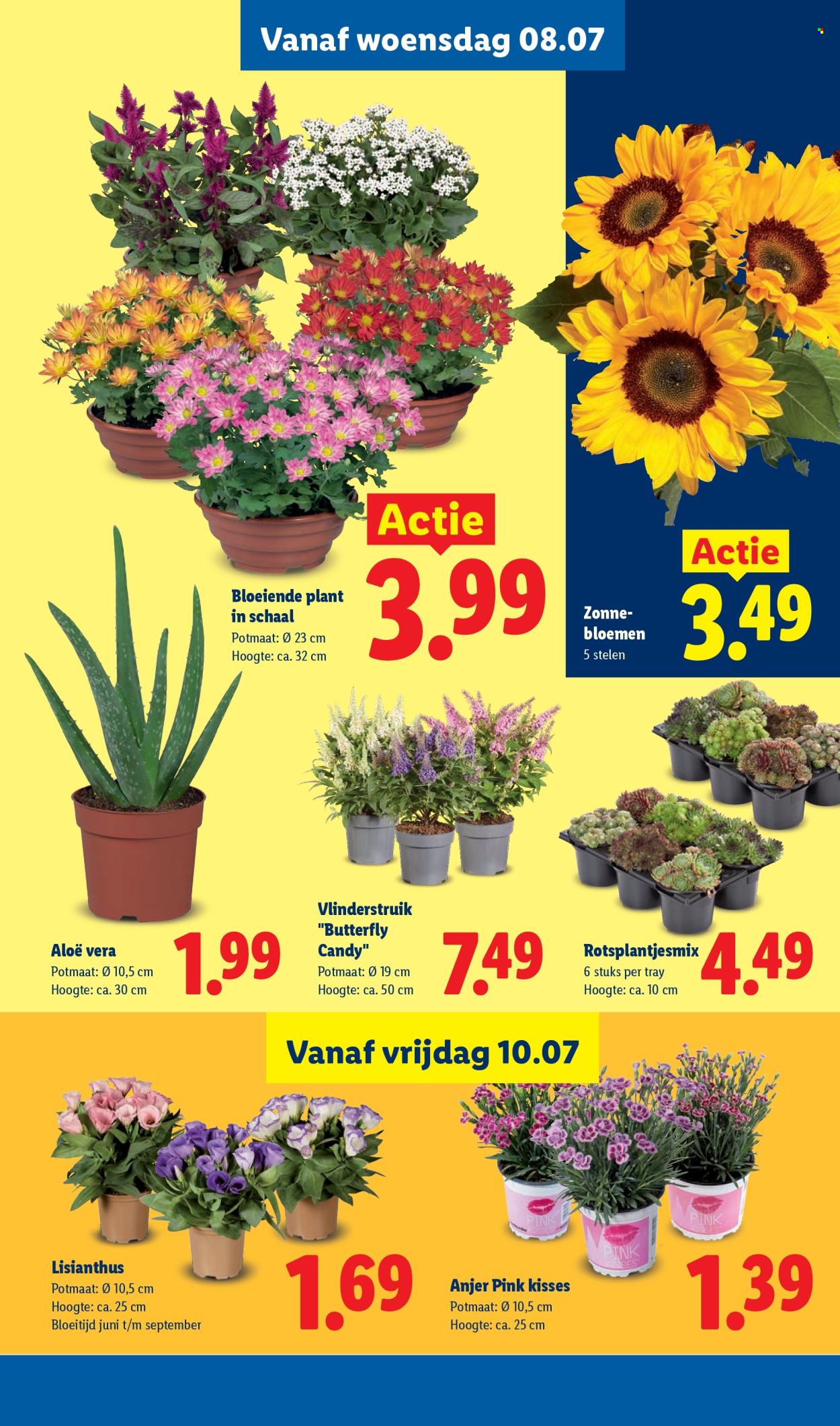 Lidl-aanbieding - 6.7.2026 - 12.7.2026. Pagina 16