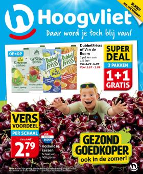 Hoogvliet