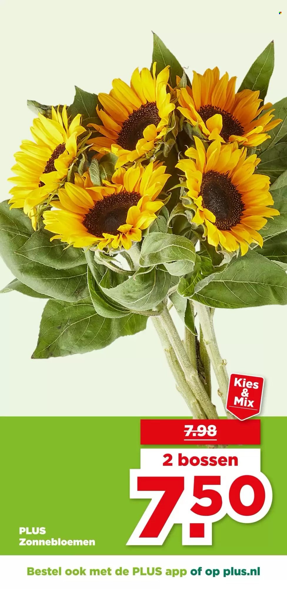 Plus-aanbieding - 8.7.2026 - 14.7.2026. Pagina 41