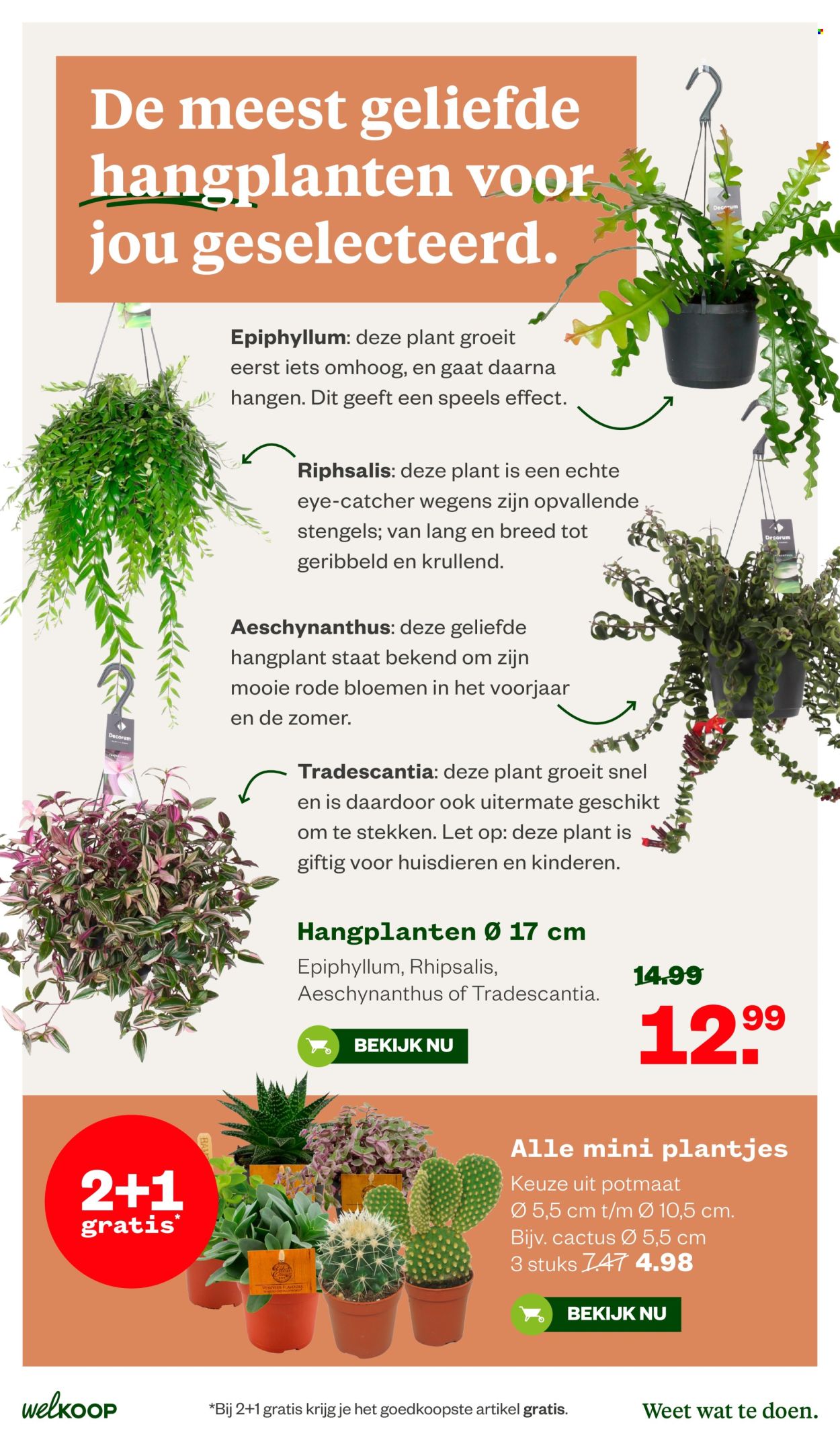 Welkoop-aanbieding - 6.7.2026 - 19.7.2026. Pagina 15