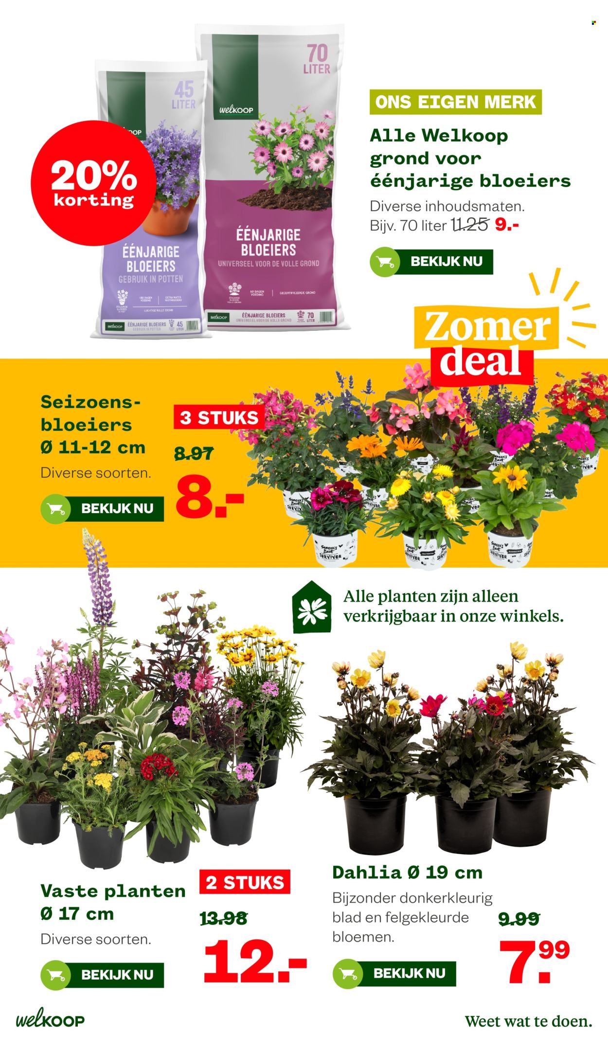 Welkoop-aanbieding - 6.7.2026 - 19.7.2026. Pagina 18