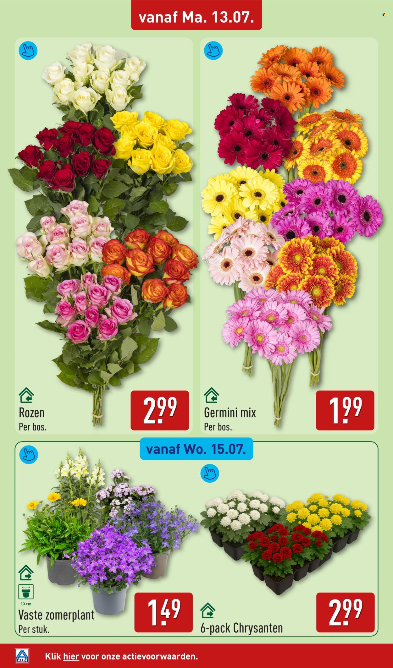 Aldi-aanbieding - 13.7.2026 - 19.7.2026. Pagina 42