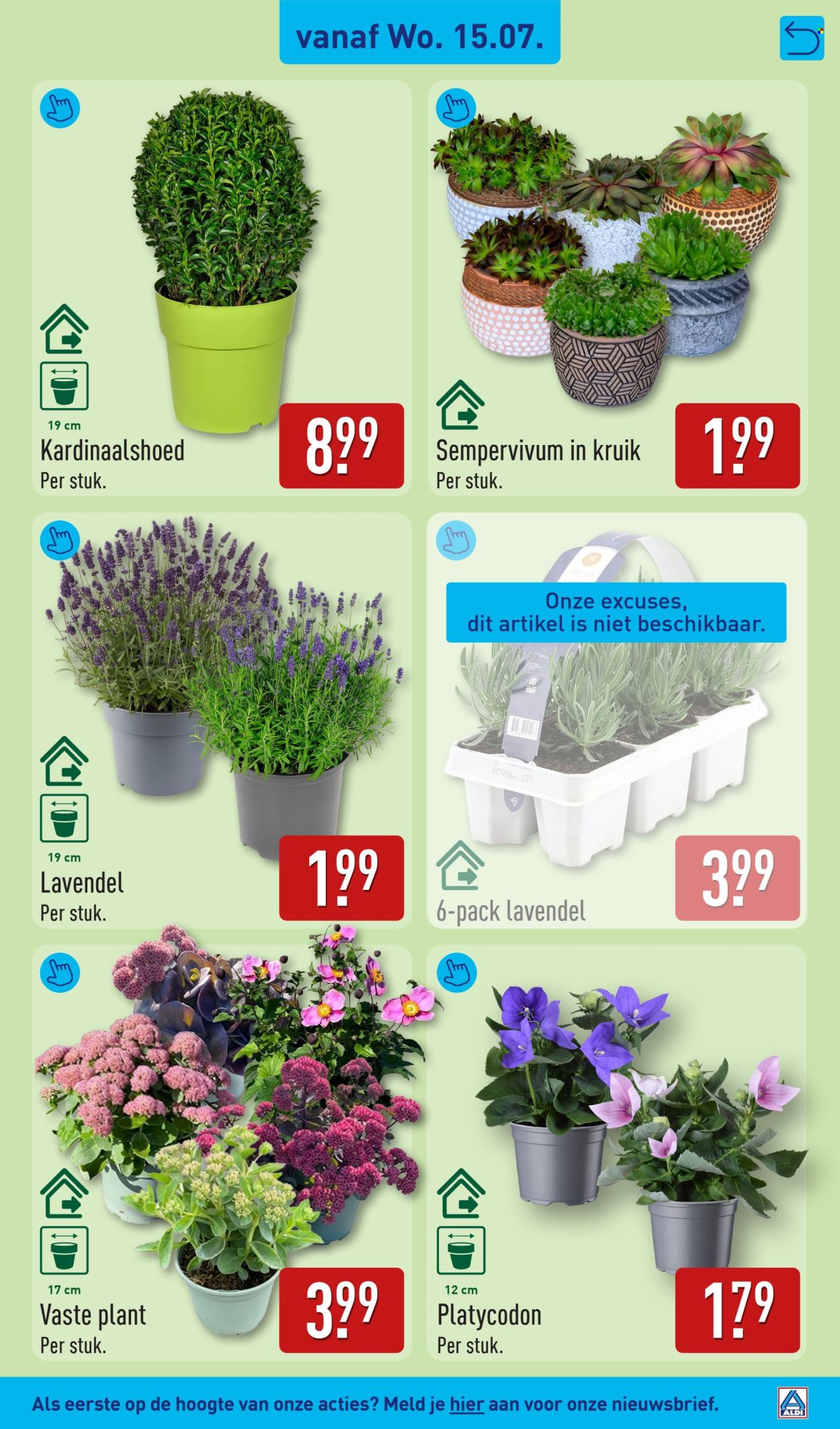 Aldi-aanbieding - 13.7.2026 - 19.7.2026. Pagina 43
