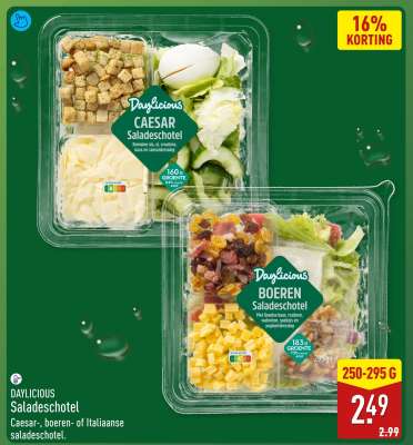 DAYLICIOUS Saladeschotel