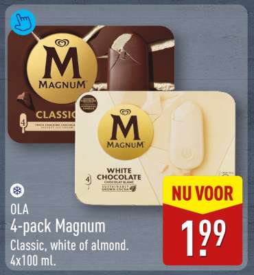 4-pack Magnum