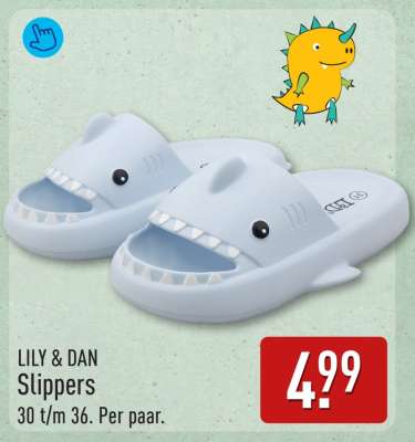 LILY & DAN Slippers