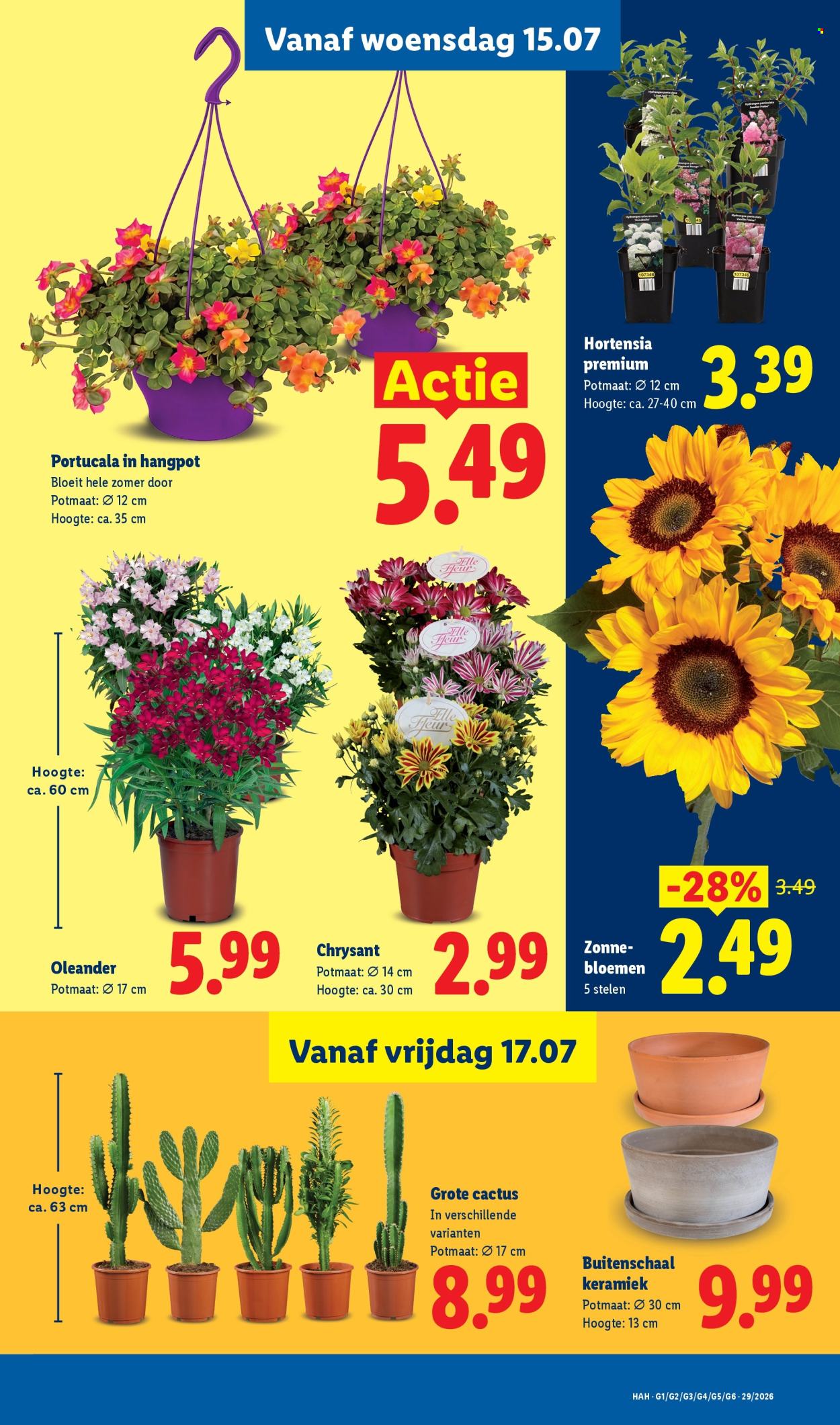 Lidl-aanbieding - 13.7.2026 - 19.7.2026. Pagina 17