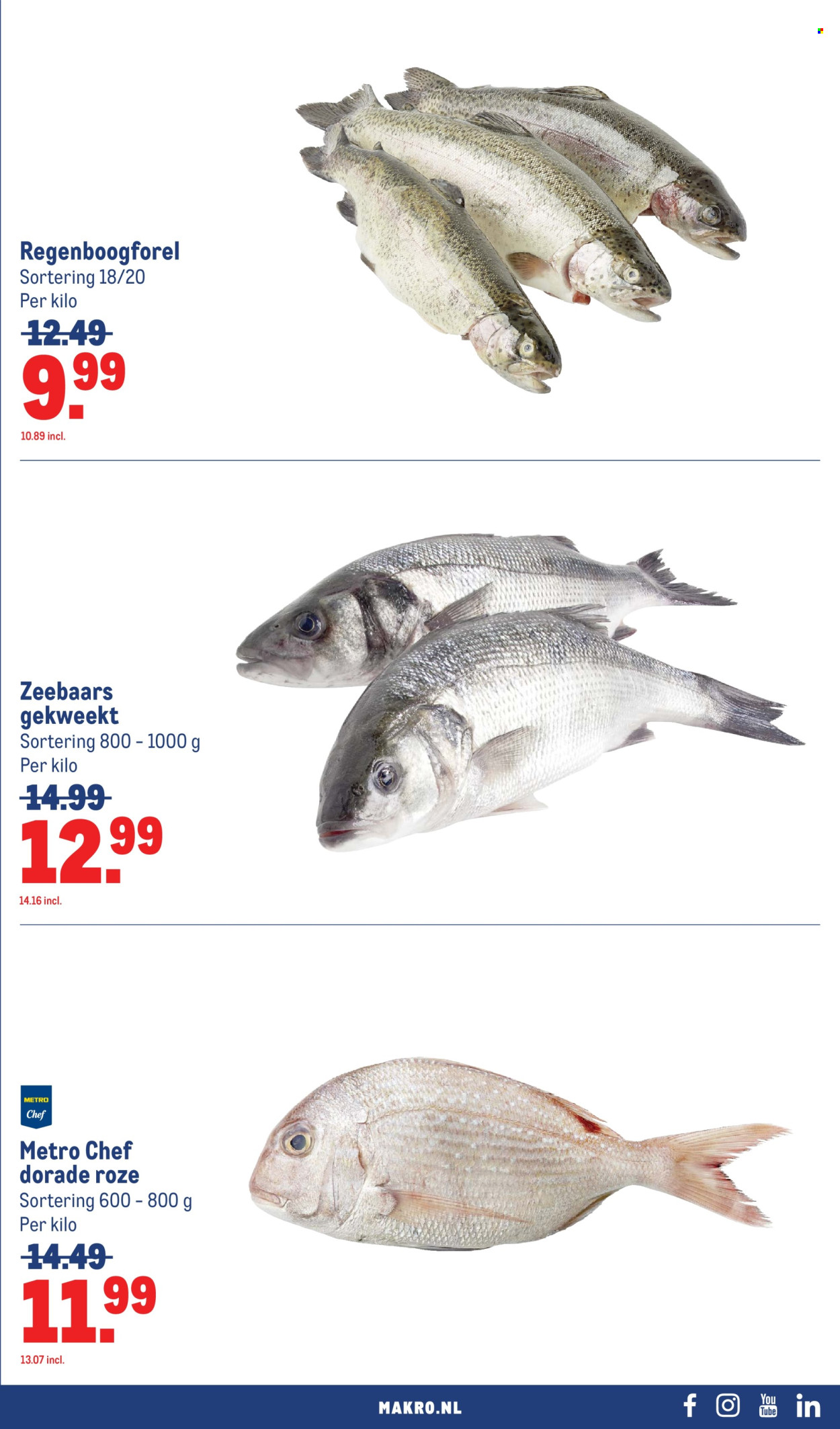 Makro-aanbieding - 15.7.2026 - 26.7.2026. Pagina 21