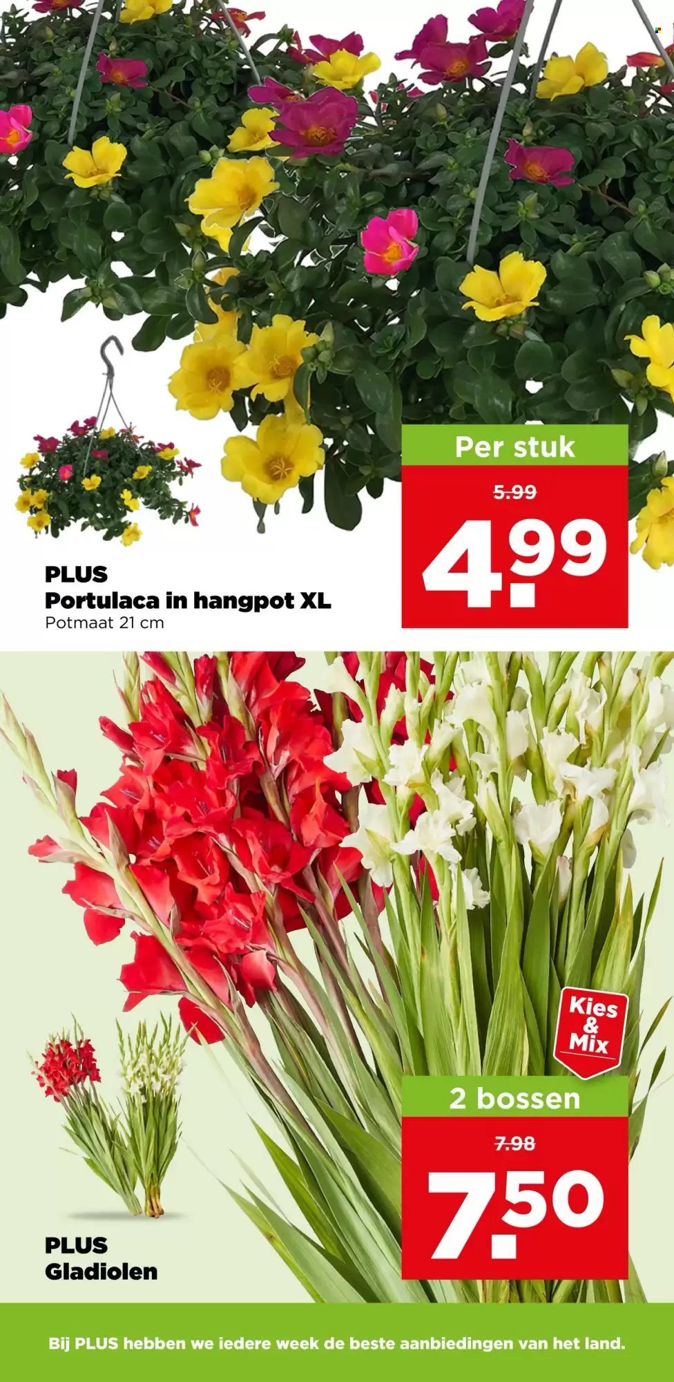 Plus-aanbieding - 15.7.2026 - 21.7.2026. Pagina 39