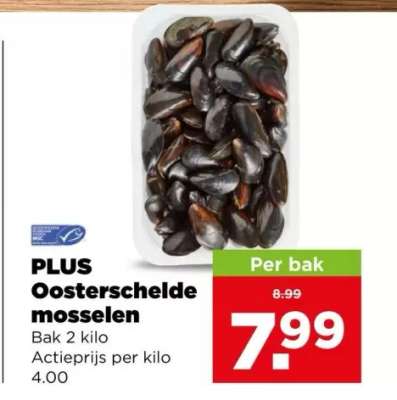 PLUS Oosterschelde mosselen