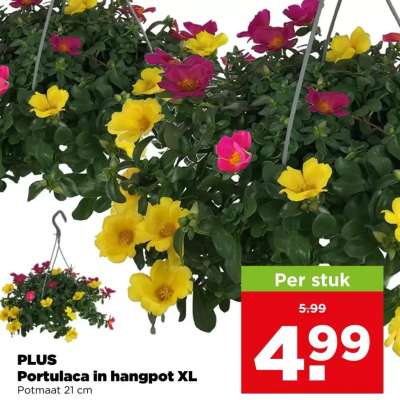 PLUS