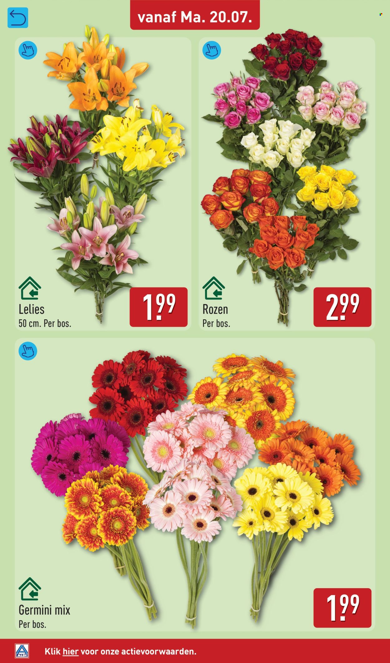 Aldi-aanbieding - 20.7.2026 - 26.7.2026. Pagina 36