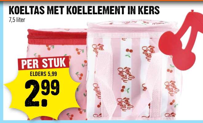 Koeltas met koelelement in kers