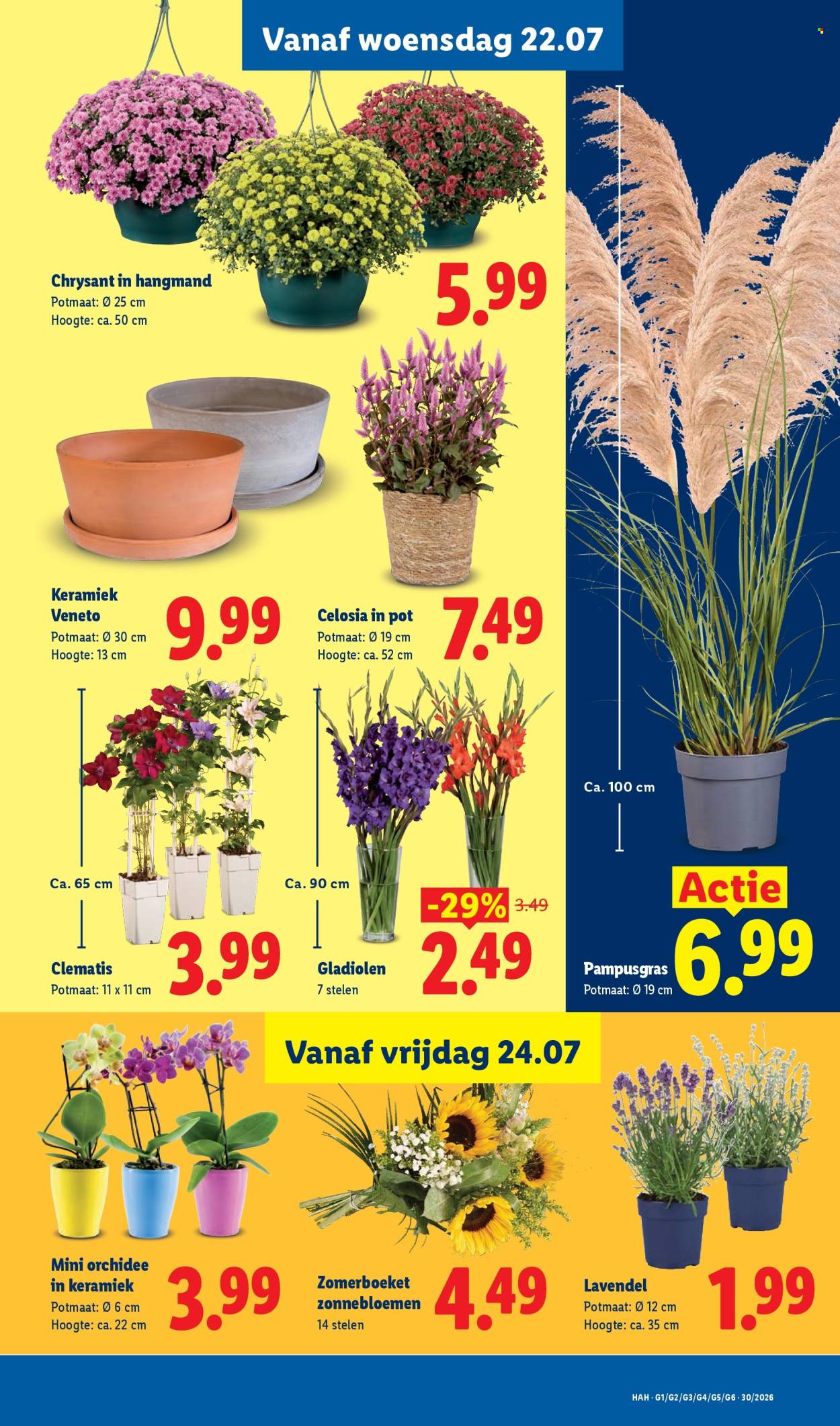 Lidl-aanbieding - 20.7.2026 - 26.7.2026. Pagina 14