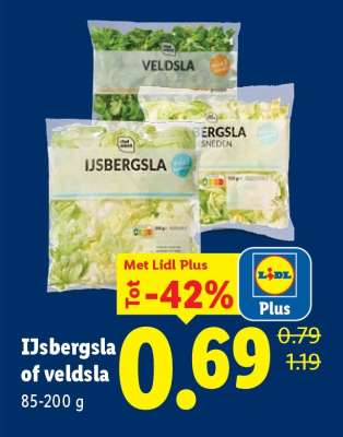 IJsbergsla of veldsla