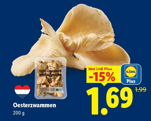 Oesterzwammen