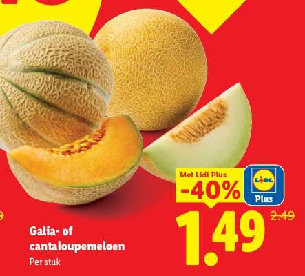 Galia- of cantaloupemeloen