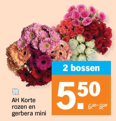 AH Korte rozen en gerbera mini