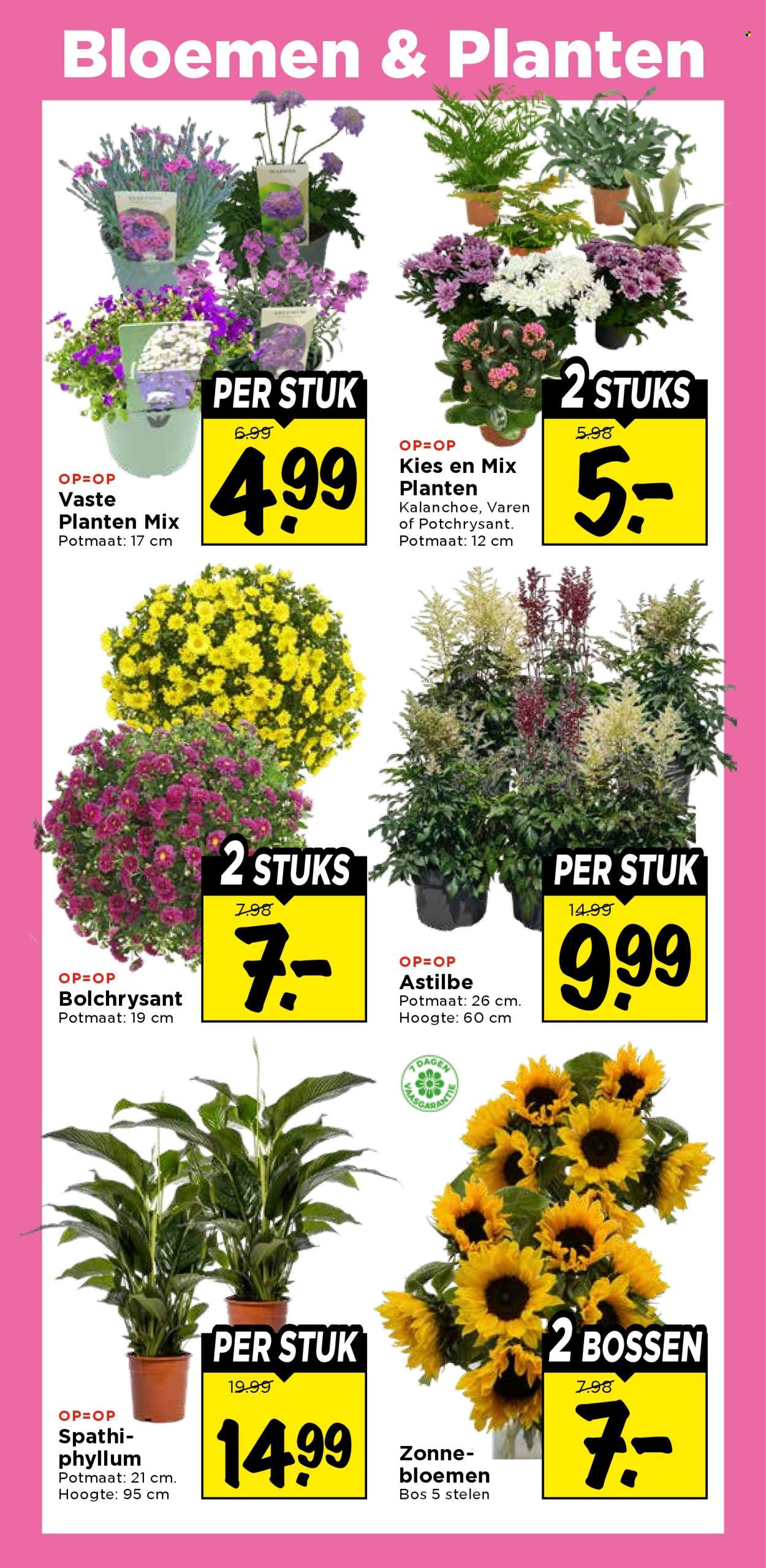 Vomar-aanbieding - 19.7.2026 - 25.7.2026. Pagina 29