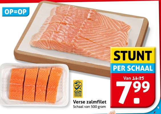 Verse zalmfilet