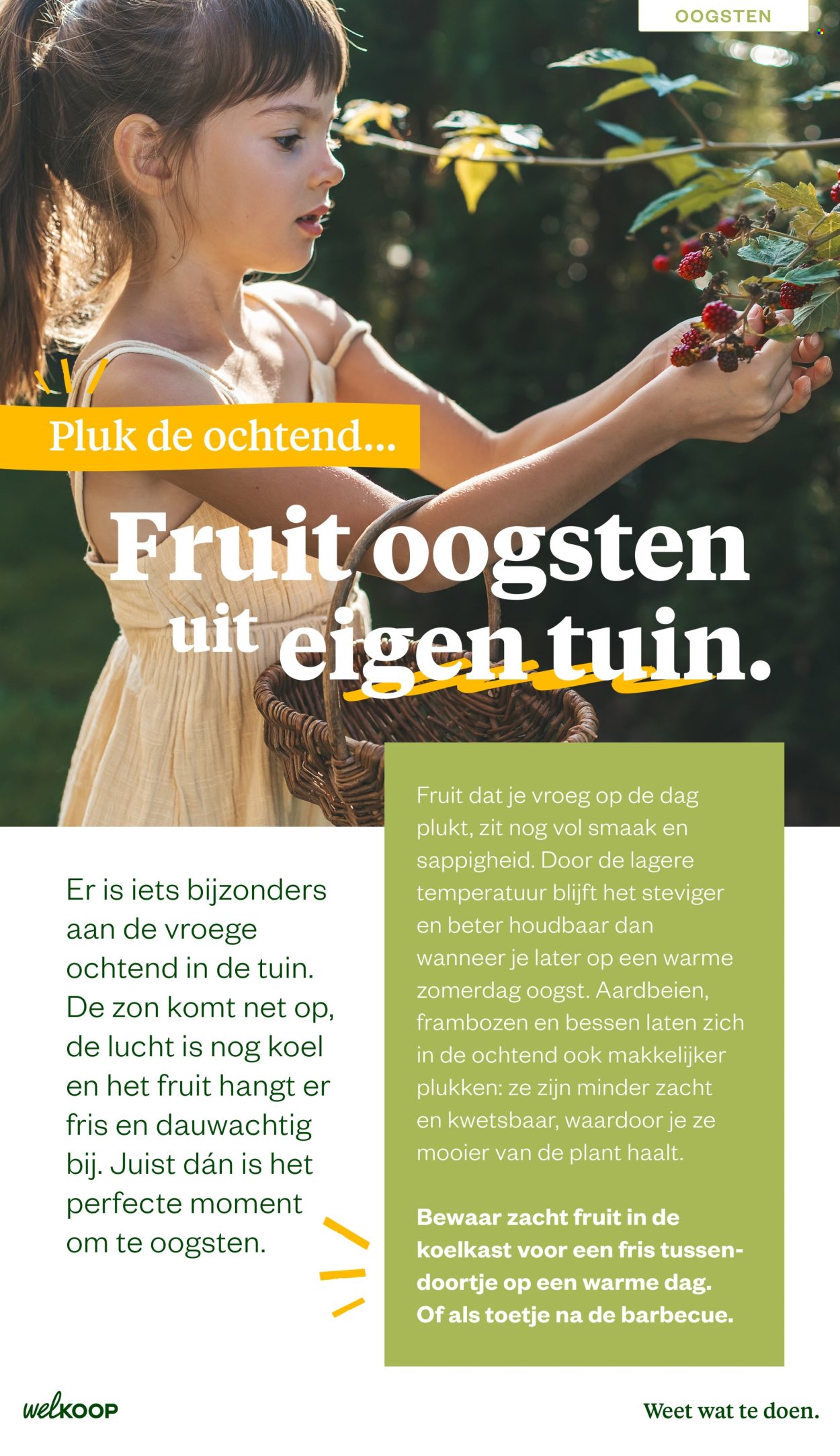 Welkoop-aanbieding - 22.6.2026 - 23.8.2026. Pagina 4