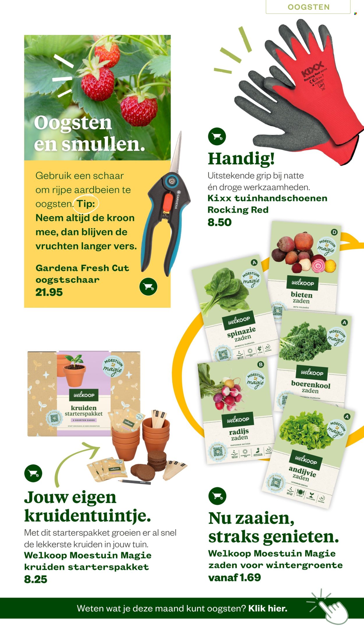 Welkoop-aanbieding - 22.6.2026 - 23.8.2026. Pagina 5