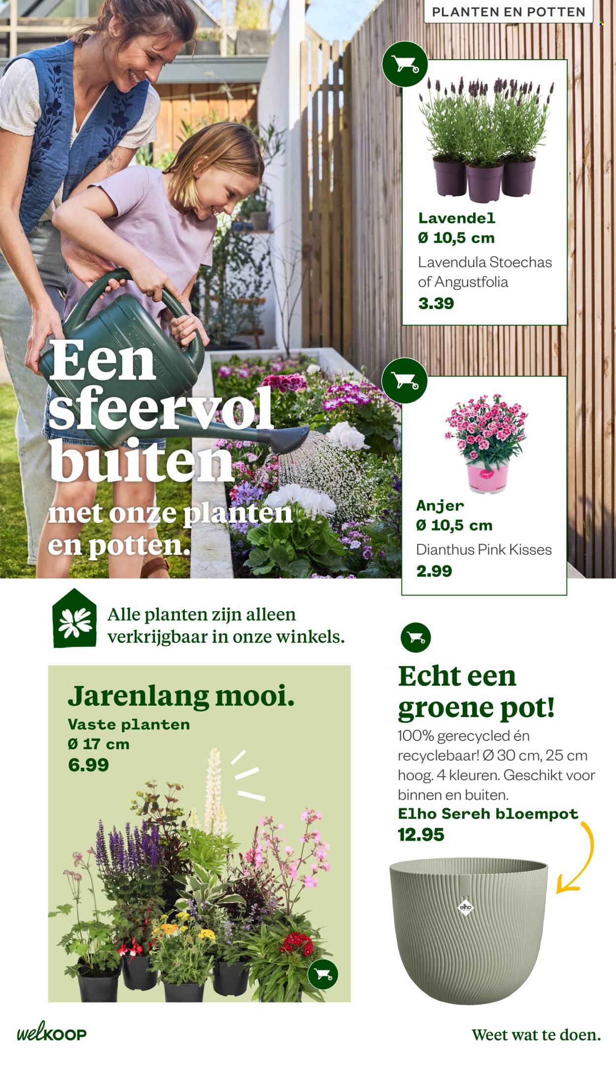 Welkoop-aanbieding - 22.6.2026 - 23.8.2026. Pagina 8