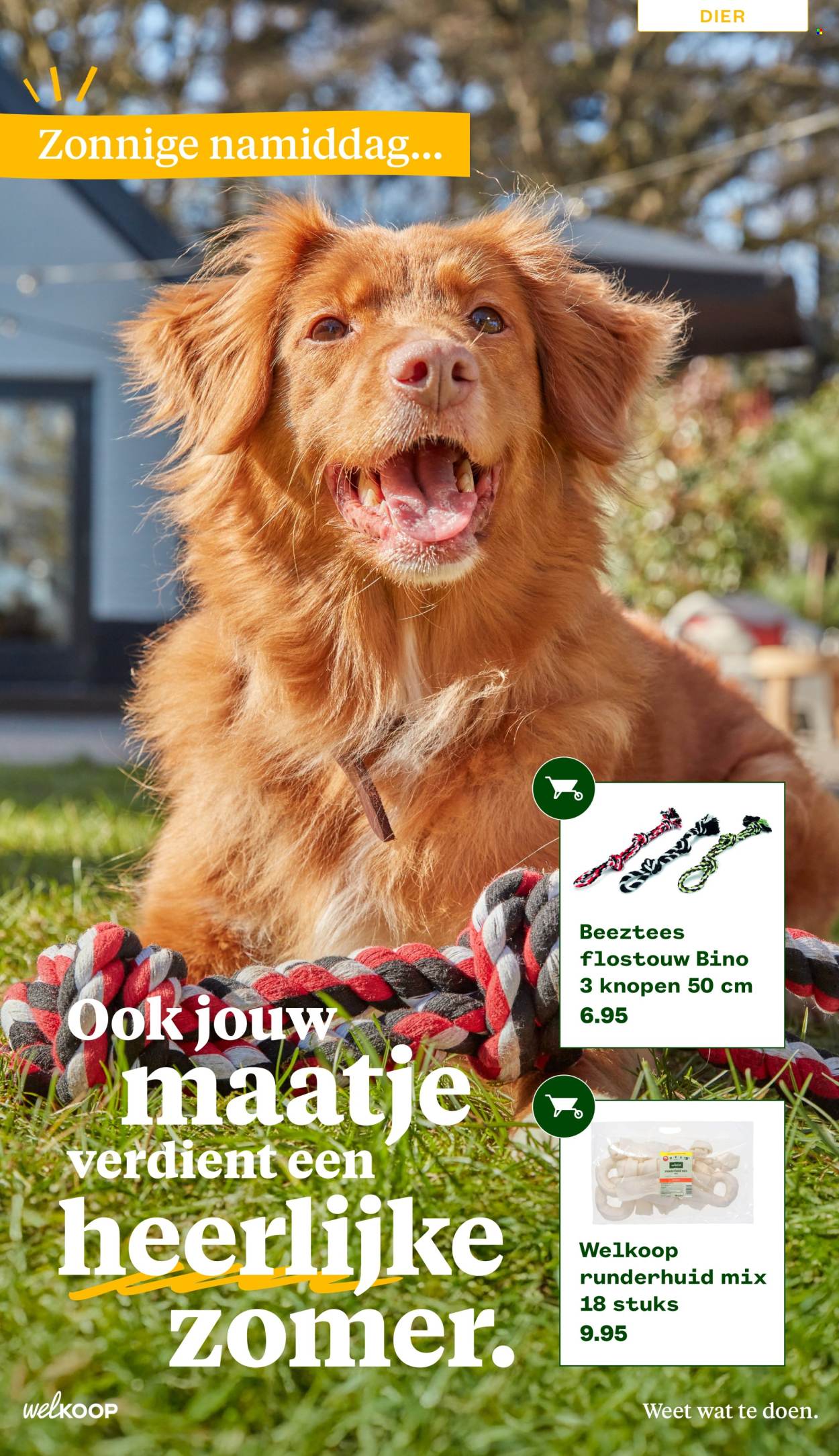 Welkoop-aanbieding - 22.6.2026 - 23.8.2026. Pagina 16