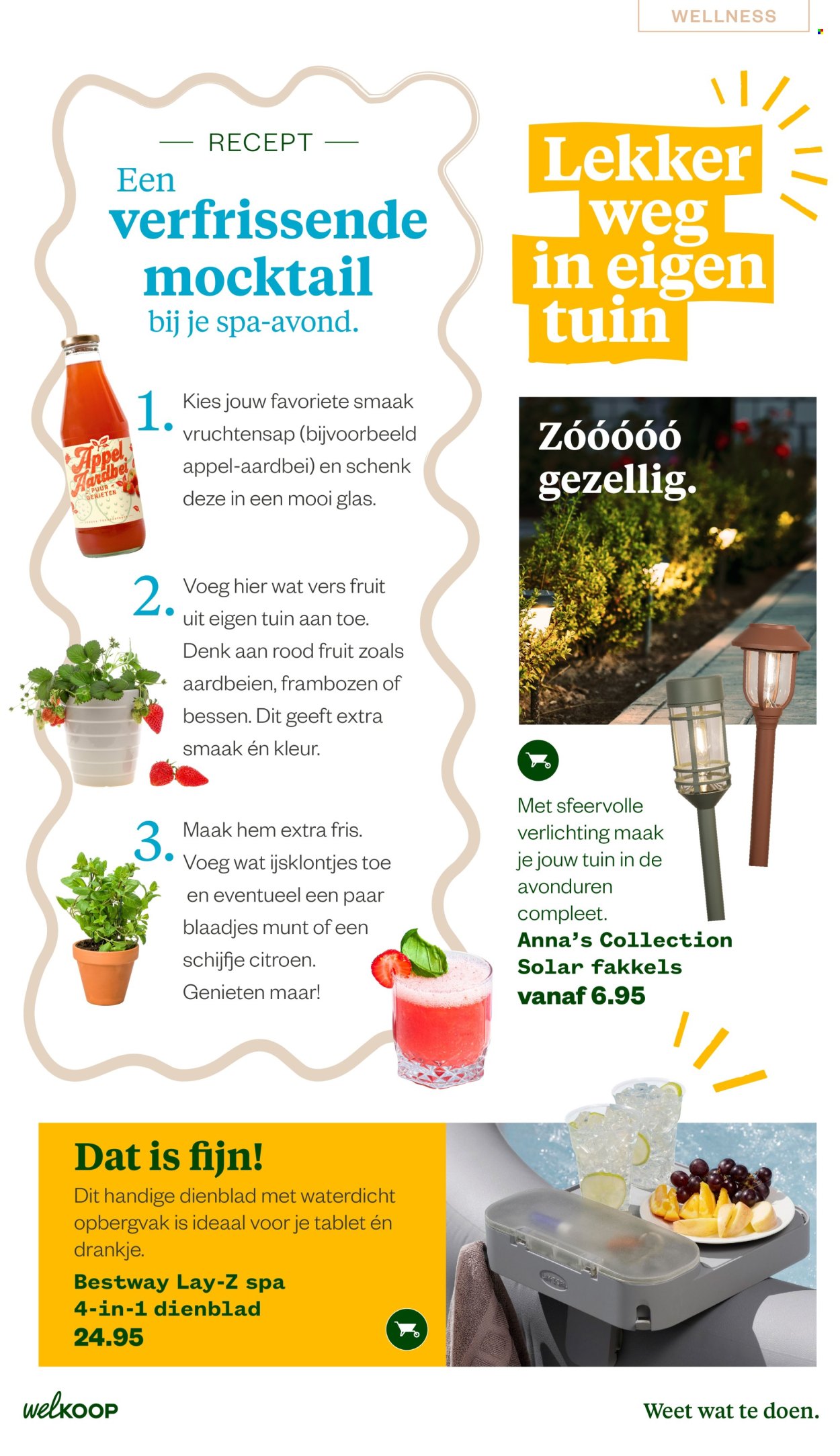 Welkoop-aanbieding - 22.6.2026 - 23.8.2026. Pagina 27
