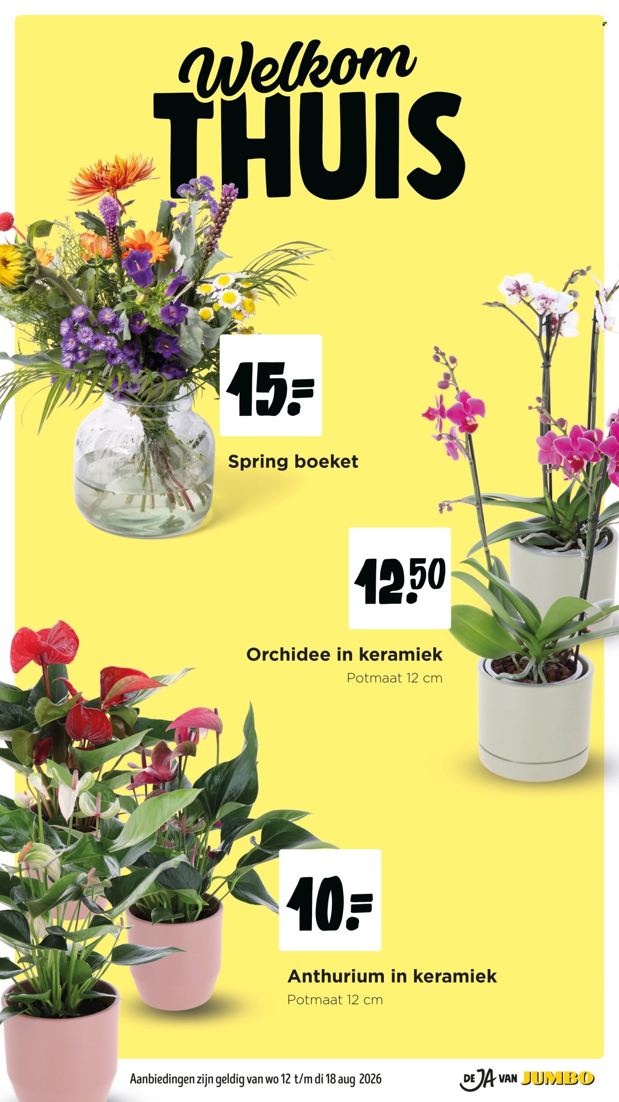 Jumbo-aanbieding - 12.8.2026 - 18.8.2026. Pagina 27