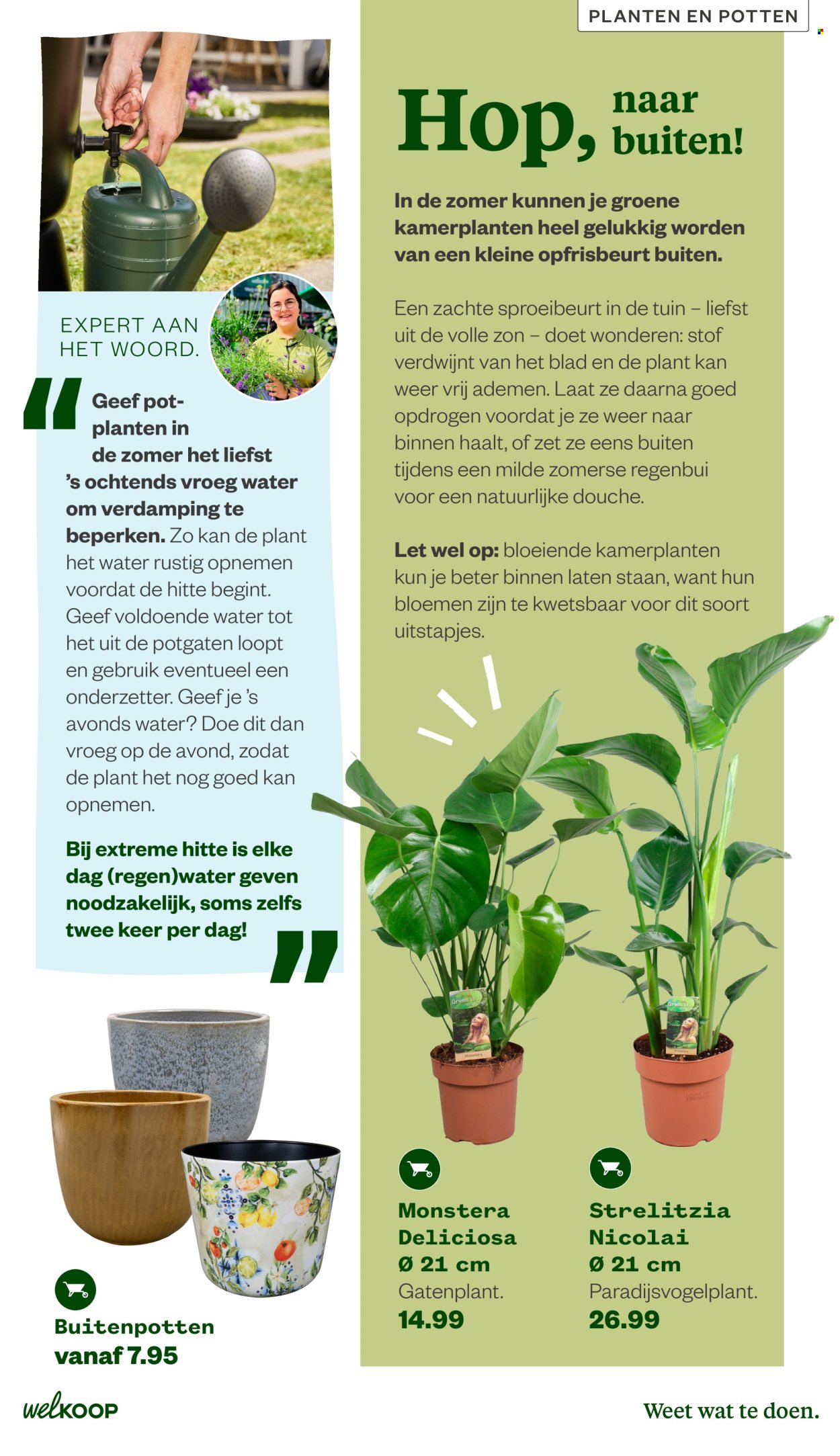 Welkoop-aanbieding - 22.6.2026 - 23.8.2026. Pagina 9