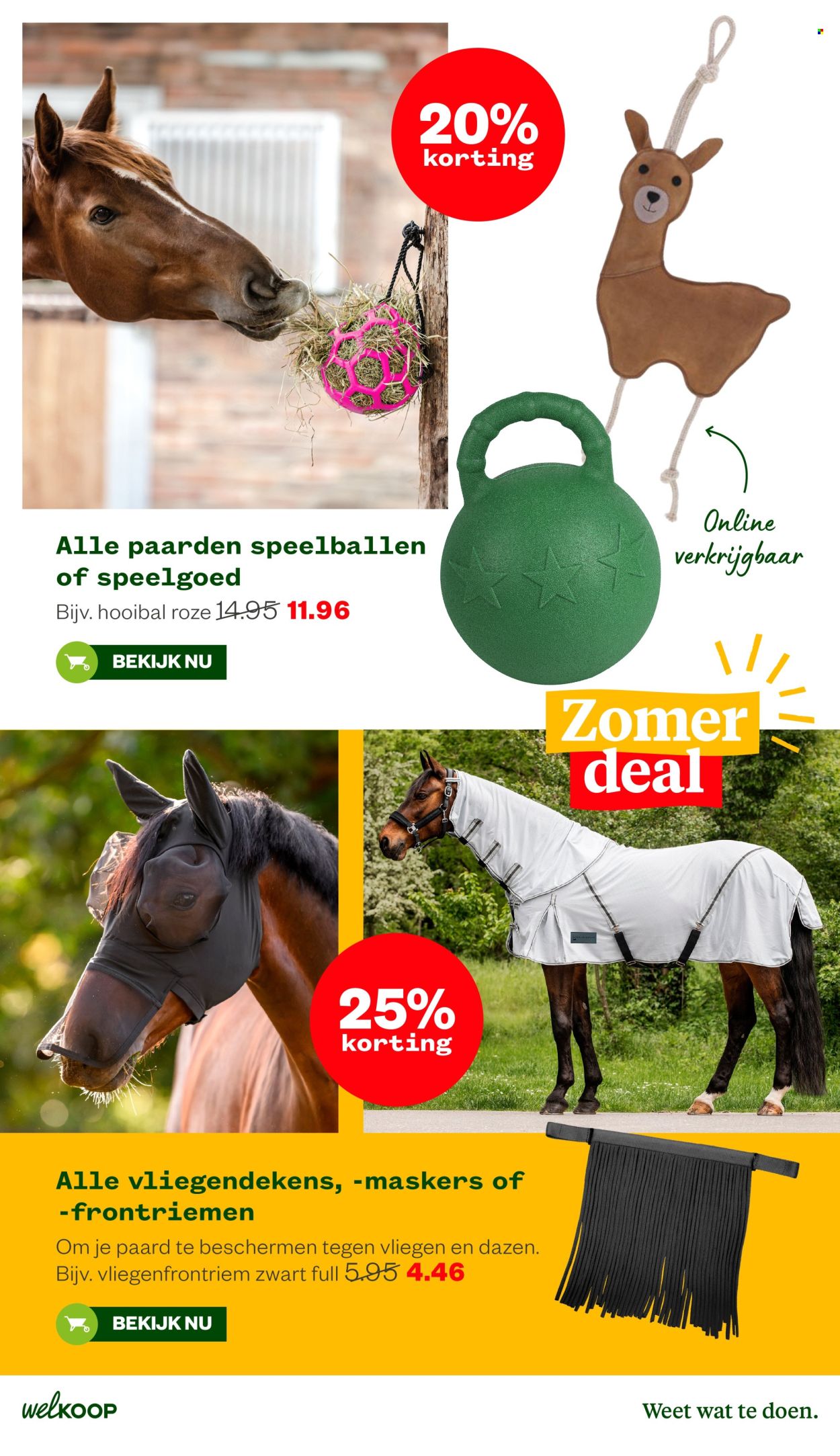 Welkoop-aanbieding - 10.8.2026 - 23.8.2026. Pagina 25