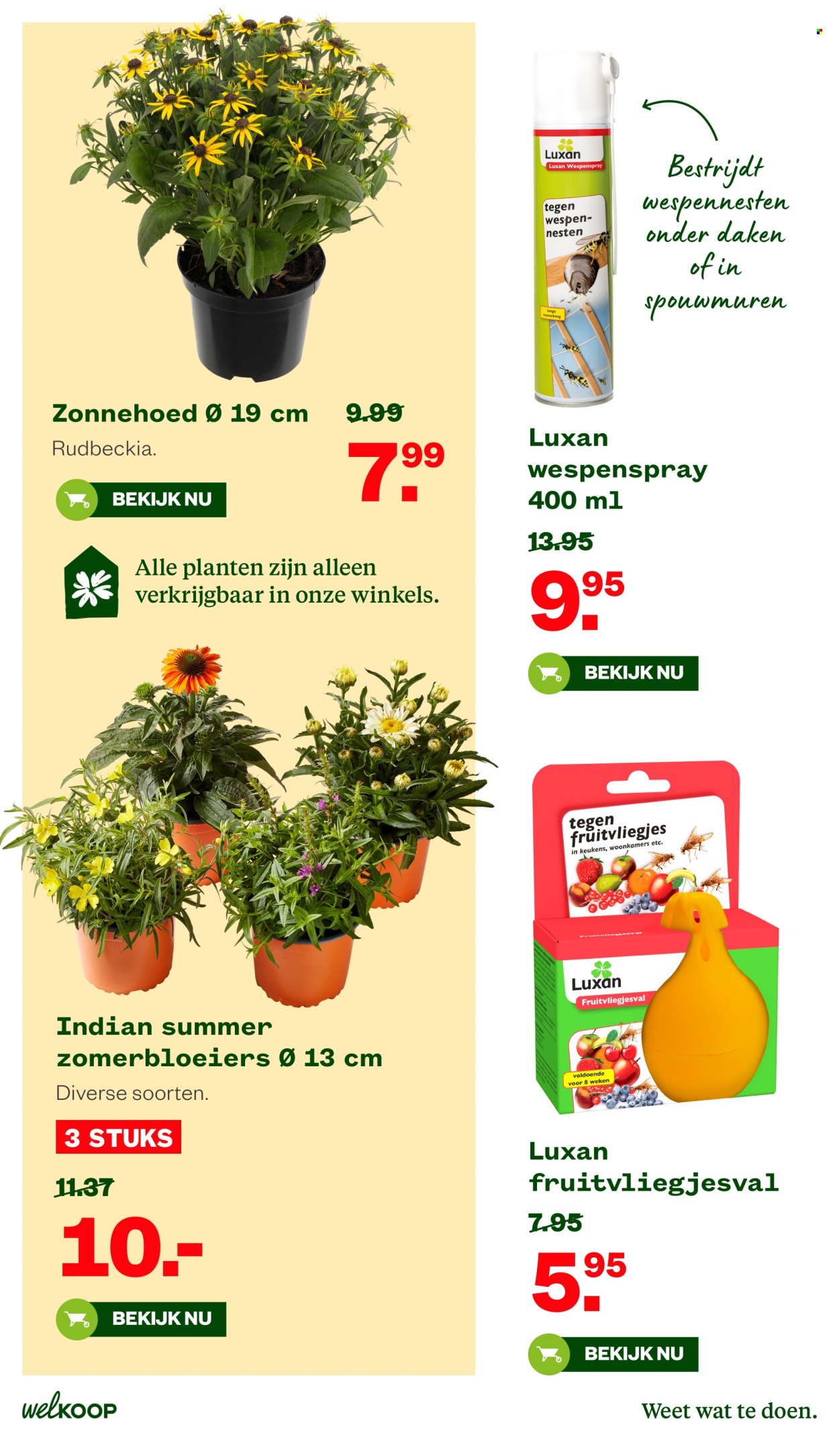 Welkoop-aanbieding - 10.8.2026 - 23.8.2026. Pagina 27