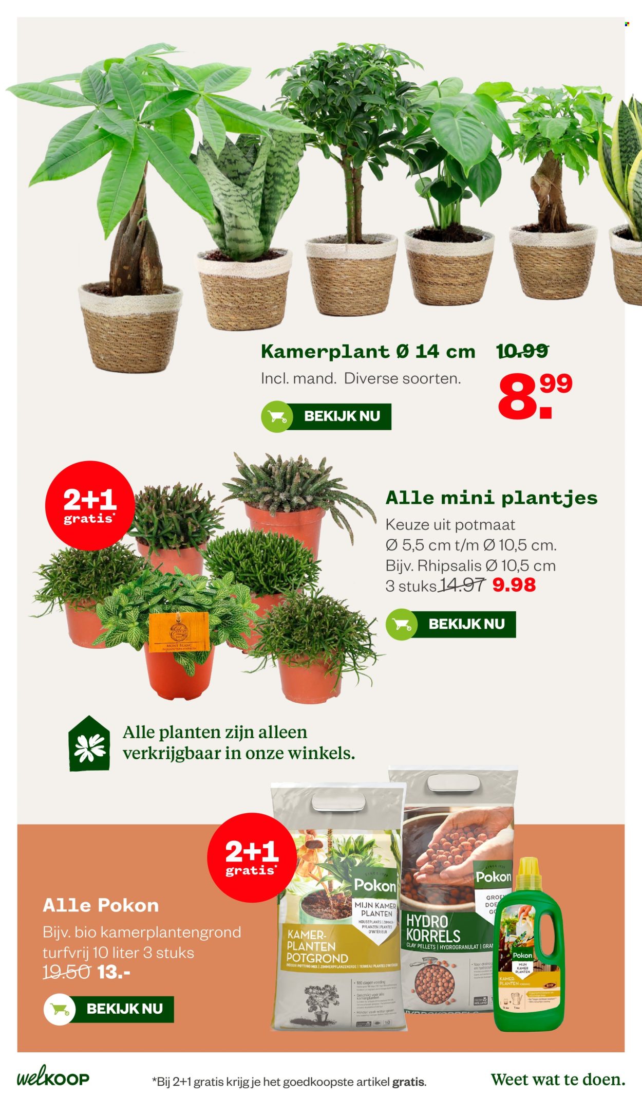 Welkoop-aanbieding - 10.8.2026 - 23.8.2026. Pagina 28