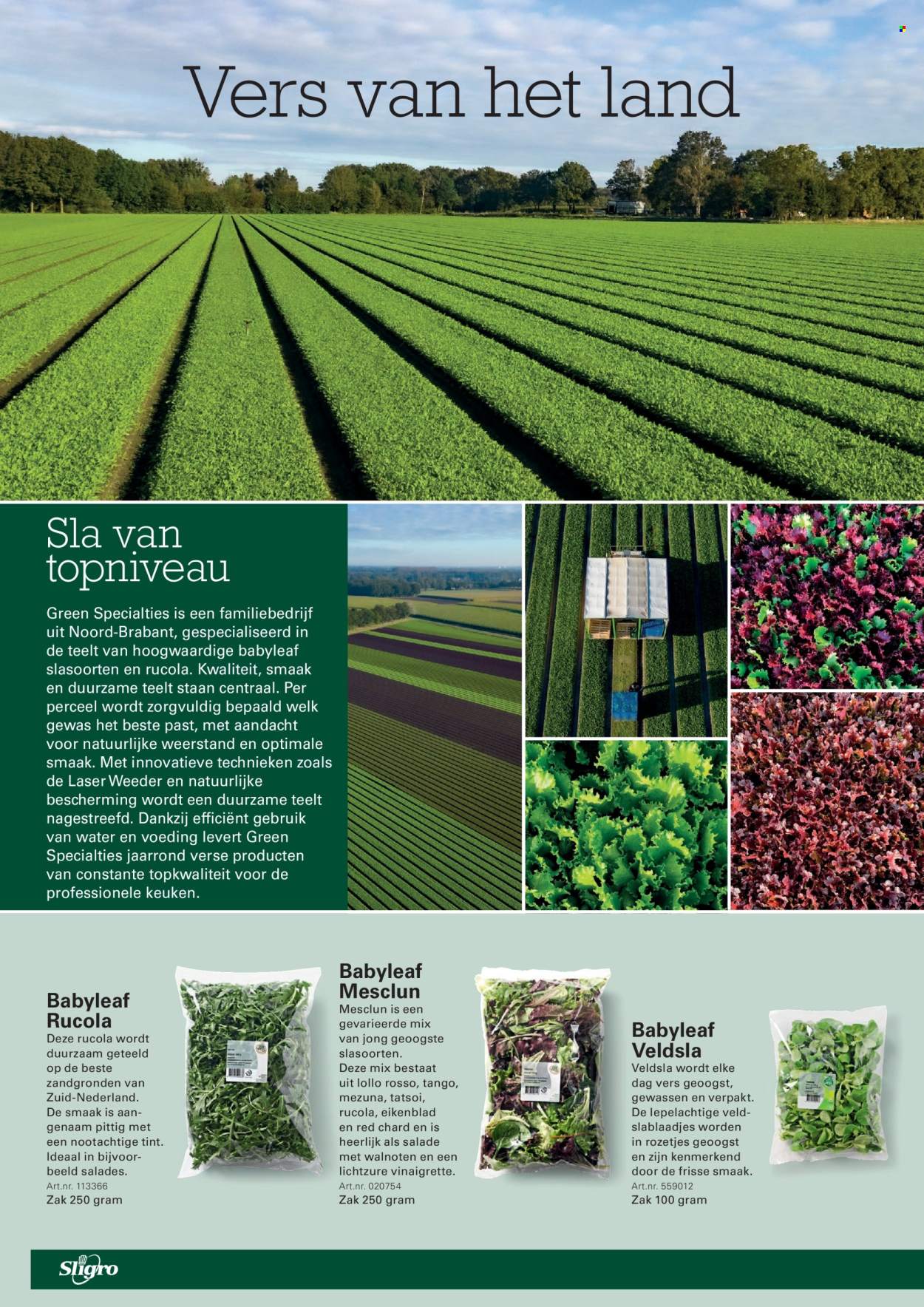 Sligro-aanbieding - 13.8.2026 - 31.8.2026. Pagina 28