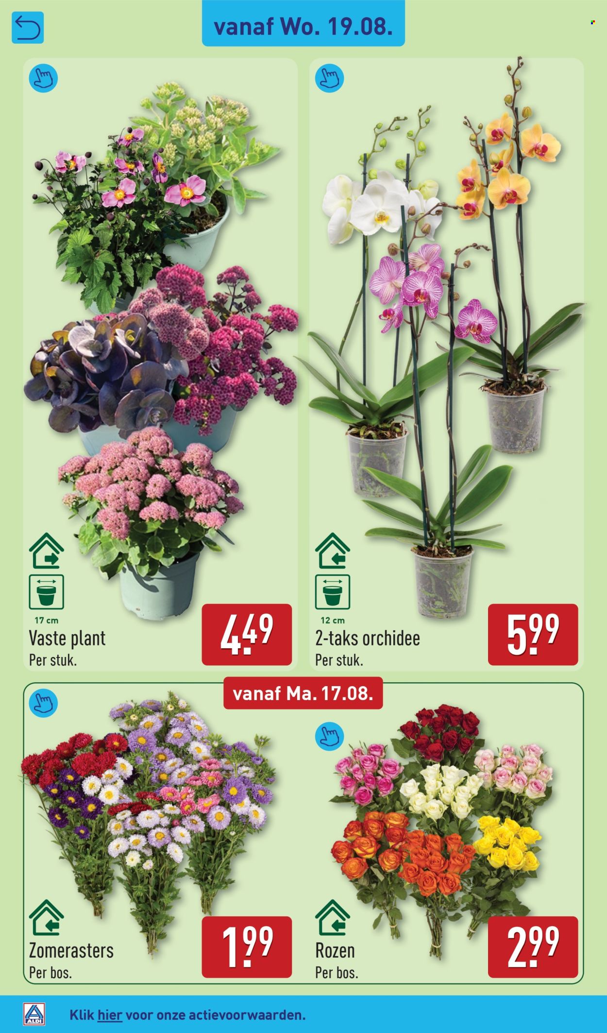 Aldi-aanbieding - 17.8.2026 - 23.8.2026. Pagina 30