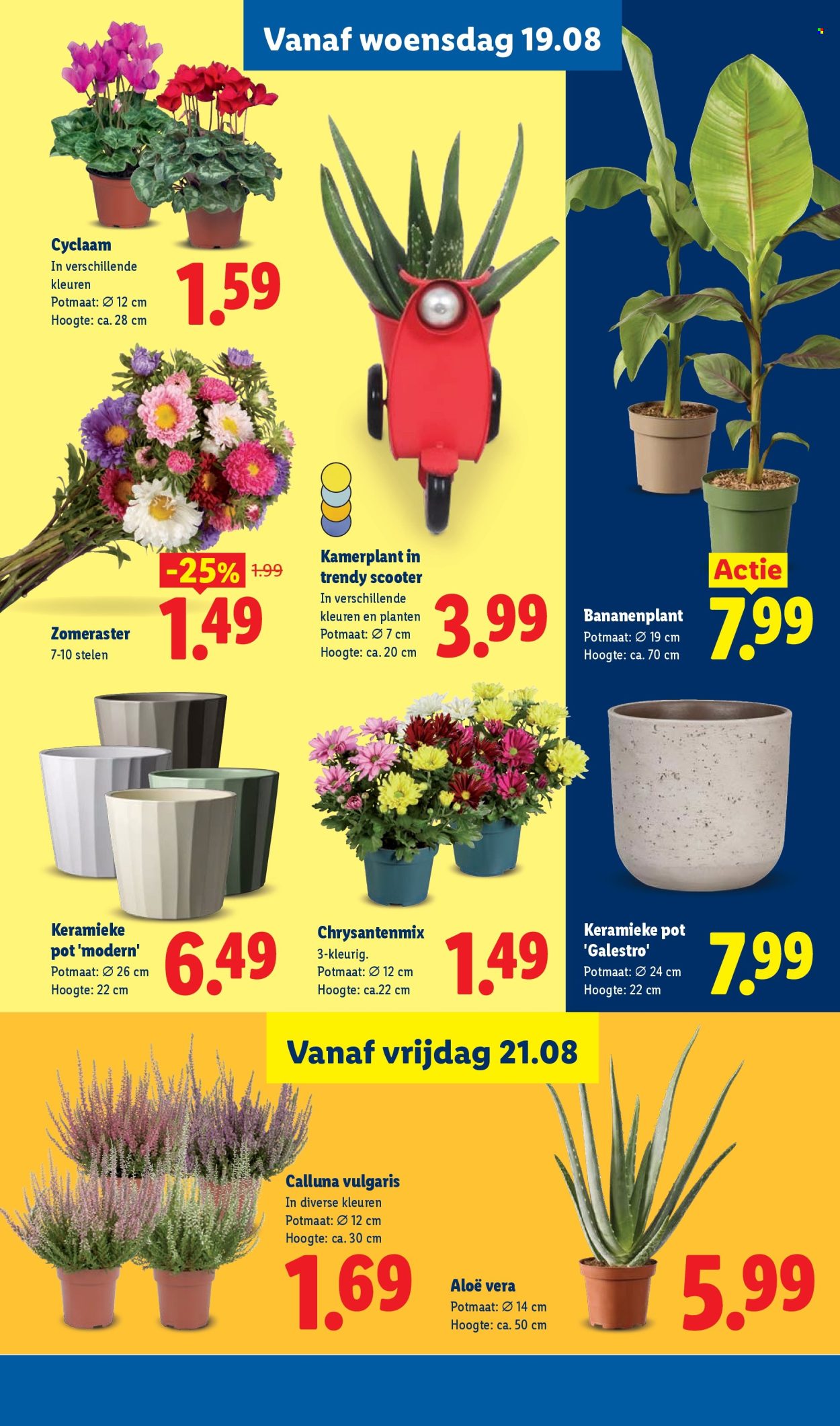Lidl-aanbieding - 17.8.2026 - 23.8.2026. Pagina 17