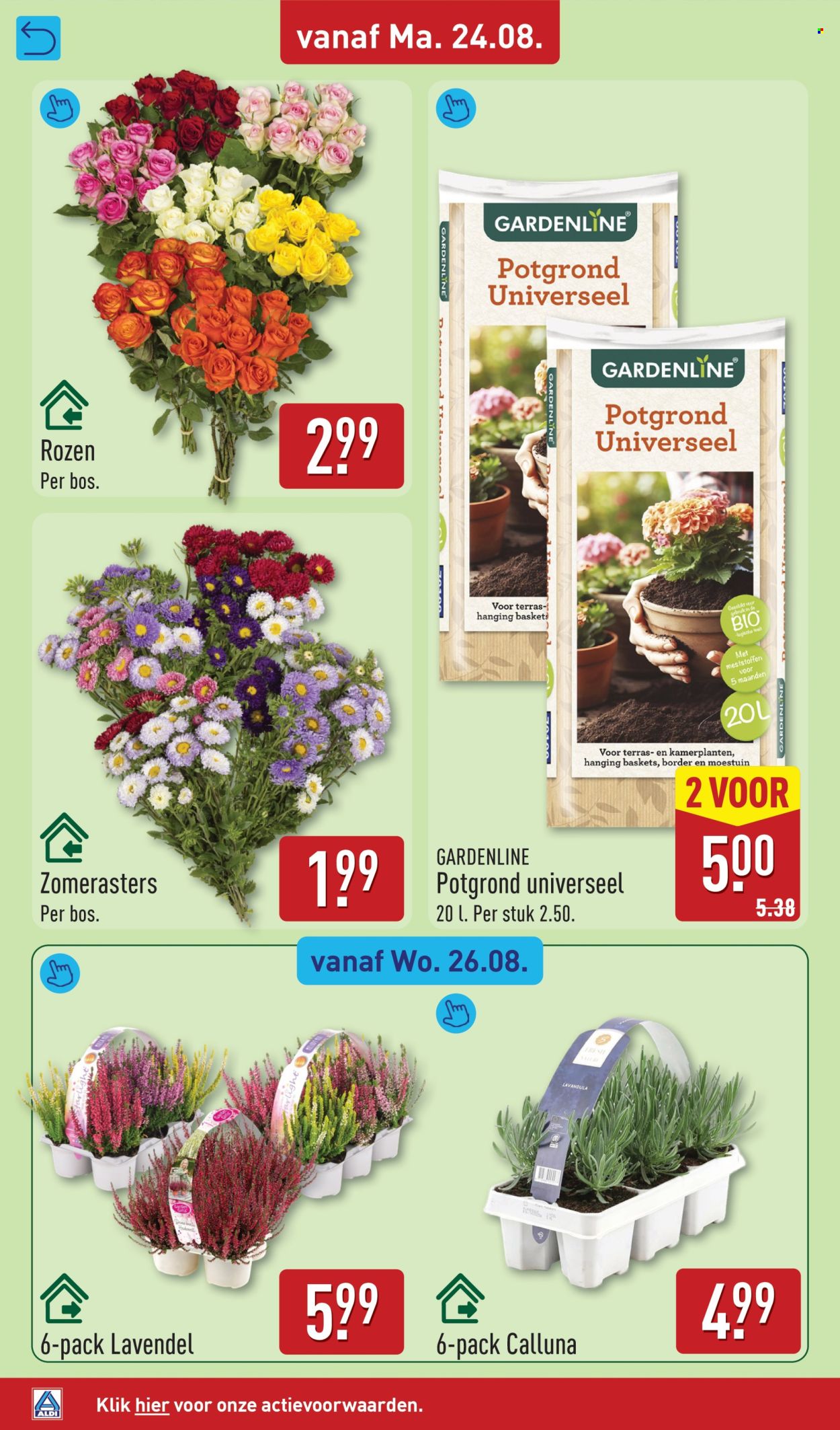 Aldi-aanbieding - 24.8.2026 - 30.8.2026. Pagina 46
